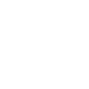 Bmf_logo