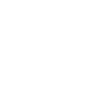Bmv_logo